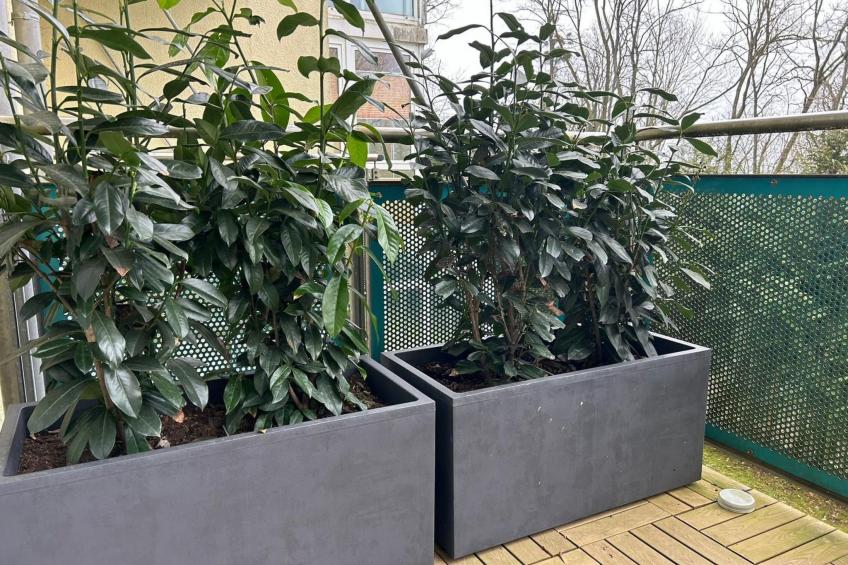 Top Lage Klinikum - foto 12