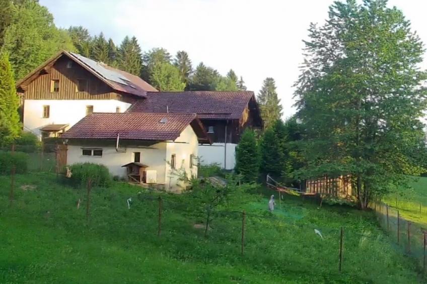 106844 - foto 3