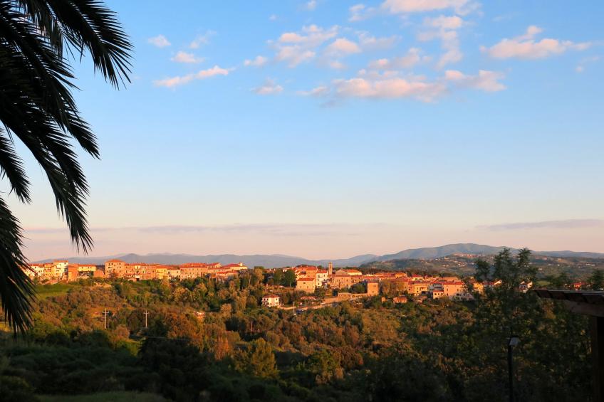 Il Felciaione - foto 30