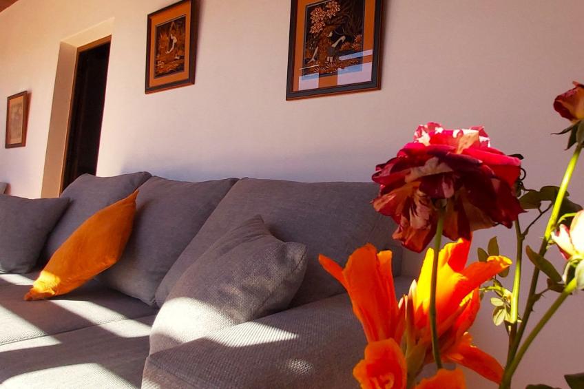 Finca Villa Clara 4 - foto 16