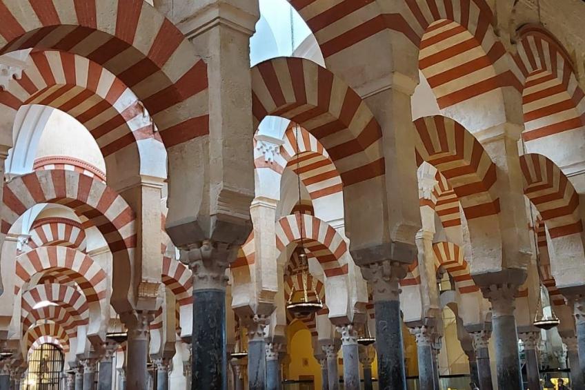 Ein Traumurlaub im Herzen von Andalusien. - foto 52