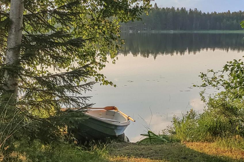 Heituinlahti, mäntyniemi - foto 22