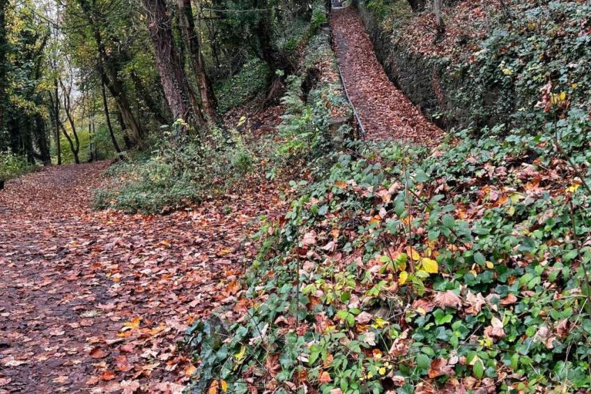 Suzy's Cottage - foto 4