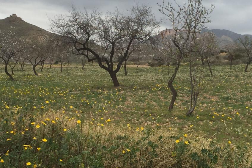 Casa Maravilla in der Nähe der Küste. Frieden und Ruhe. - foto 57