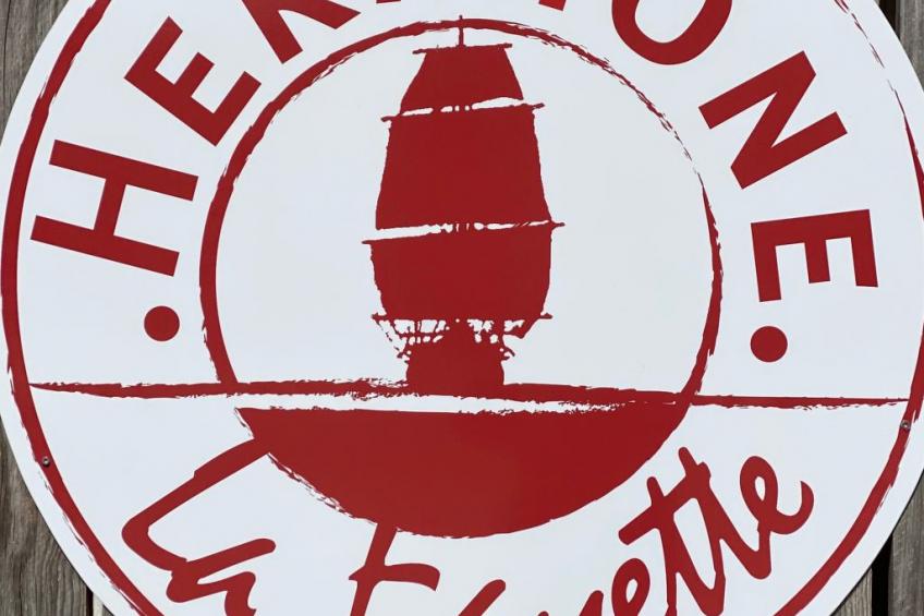 in Rochefort mit Garten und Terrasse - foto 15