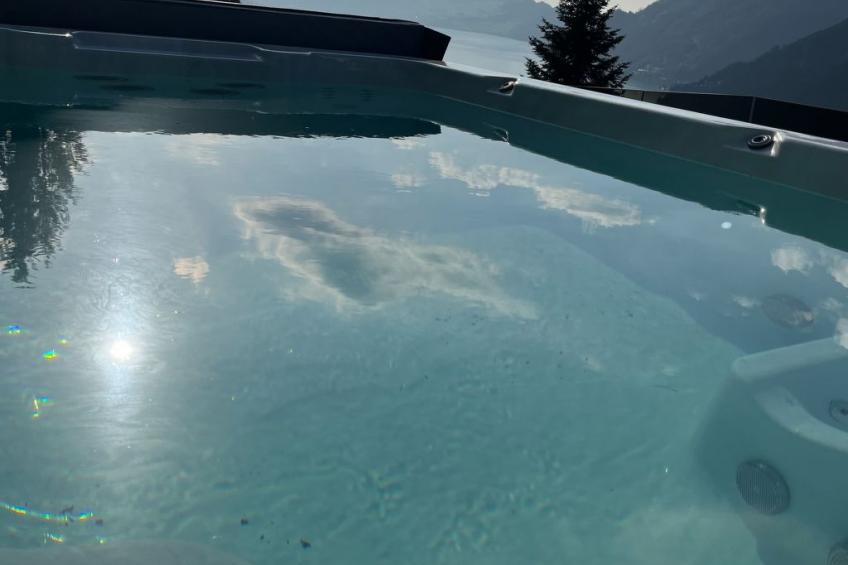 Villa Seelisberg mit Jacuzzi und Panoramablick - foto 5