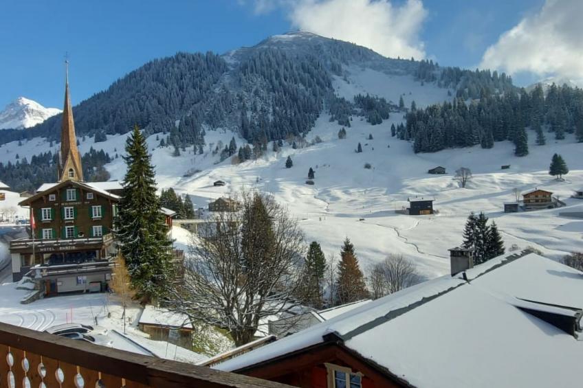 Nauer, (St. Antönien), nauer_stantoenien - foto 11