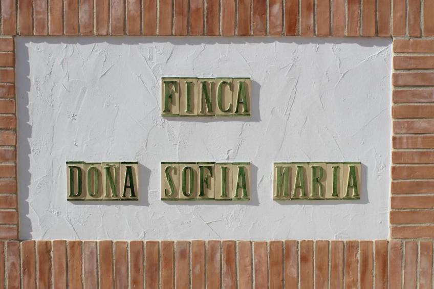 Casa Dolores - foto 33