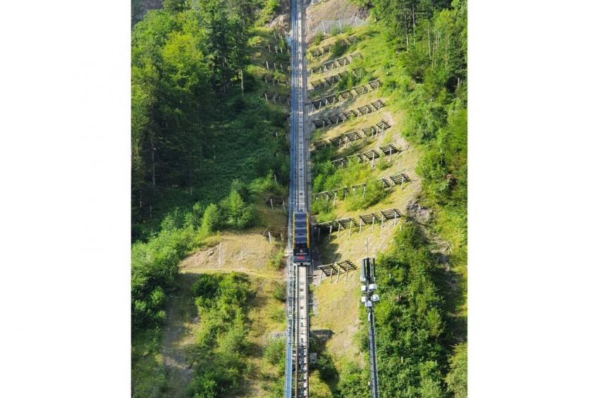 87981 - foto 22