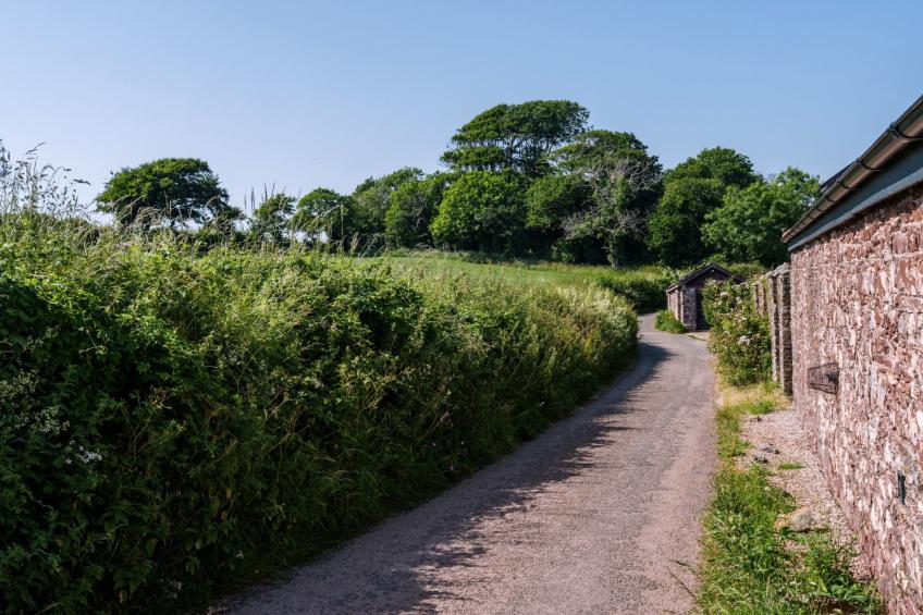 Wiggle Barn, Kingsand - foto 5