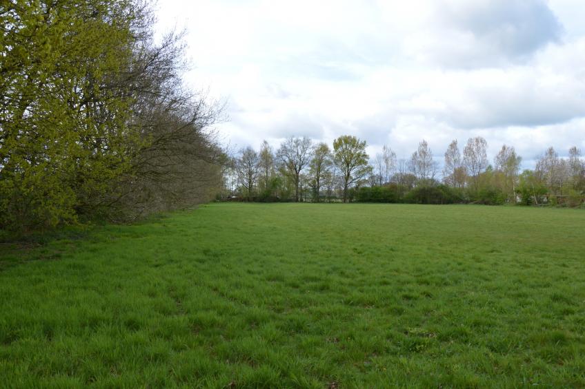 Zijzicht - foto 38