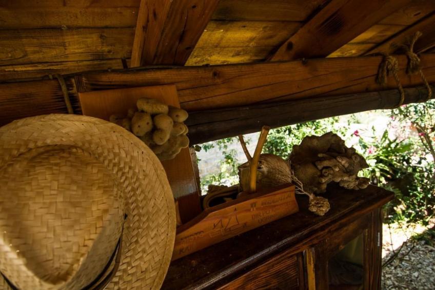 Studio mit herrlichem Meerblick - foto 22