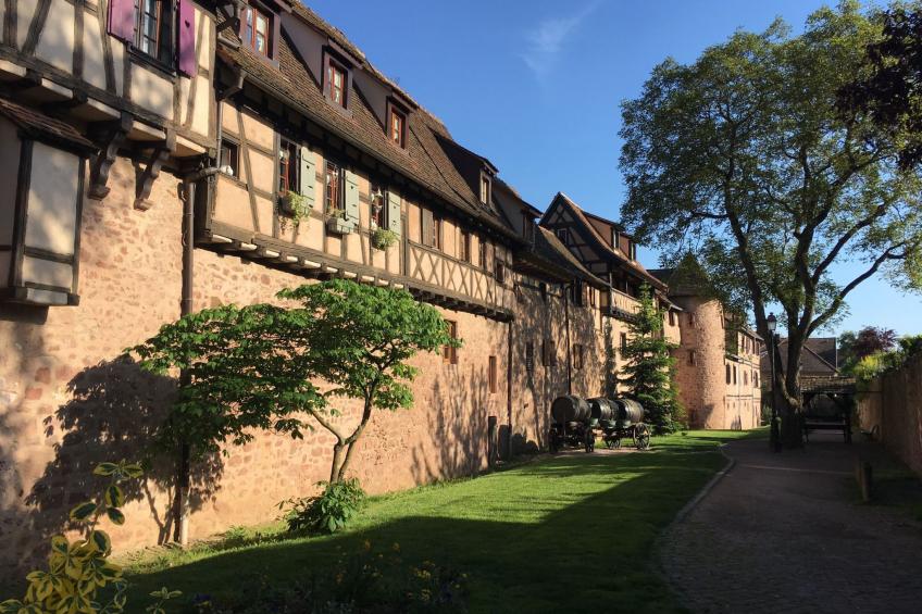 Bartholdi in Reichenweier - foto 32