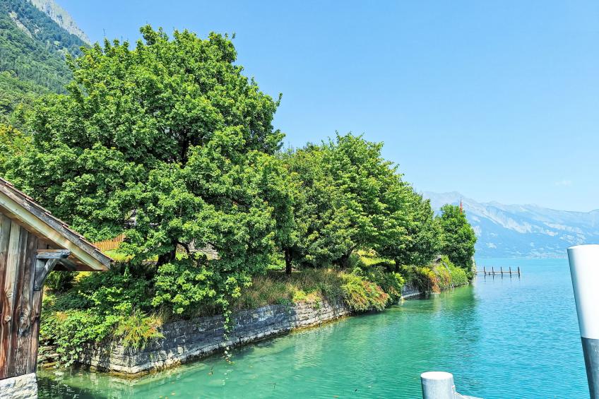 Haus am See - foto 42