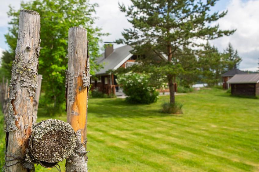 Ranta-lemettilä - foto 17