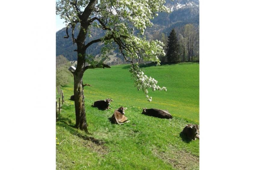167167 - foto 20