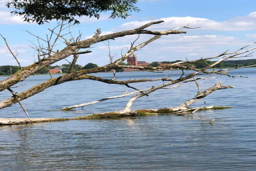 Mobilheim am Goldberger See - foto 28