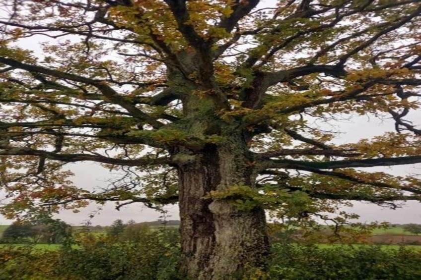 La Pierraille - foto 29