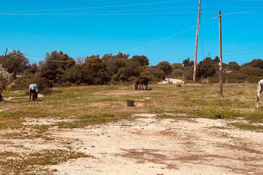 "Naya" mit eigenem Pool - foto 32