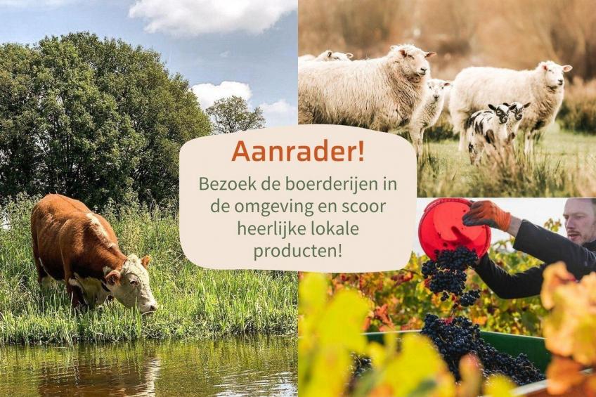 Oak Lodge I 4 people - foto 14