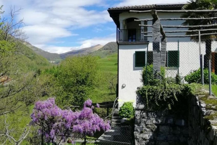 mit Bergblick - foto 42