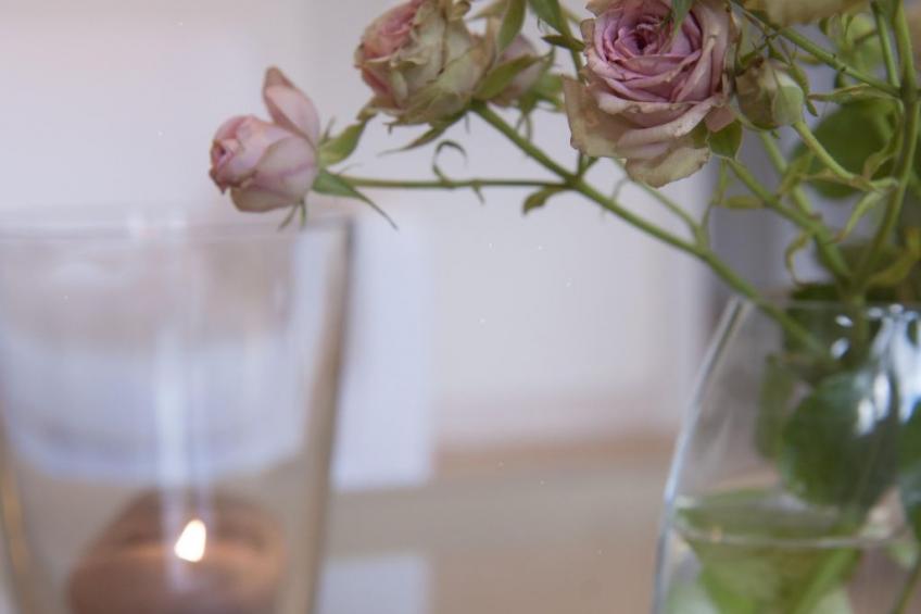 Wohlfühloase für Natur- und Gartenliebhaber - foto 5