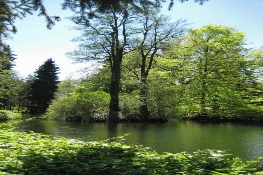 Bad Elster - foto 39