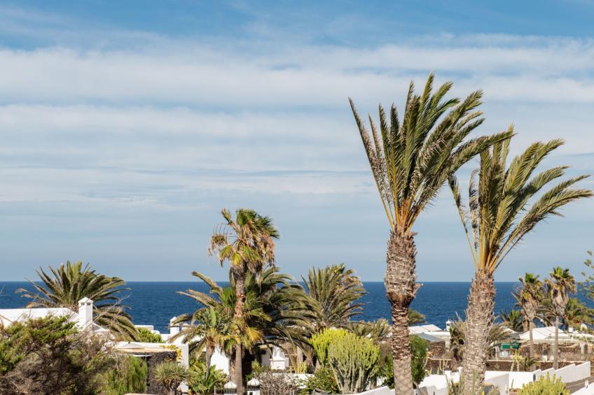 Villa Blanca  1 - foto 37