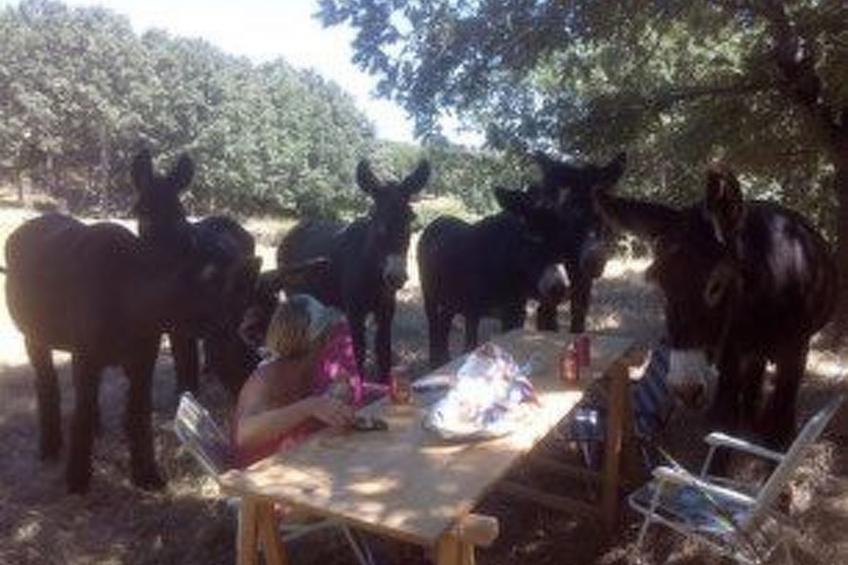 Casa Rural Dunas - foto 29