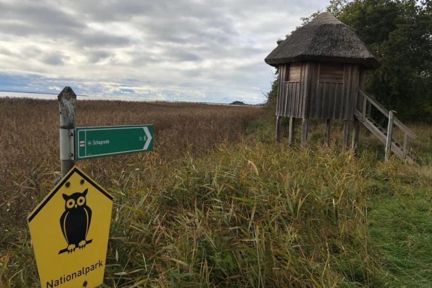 Wohnung für vier Personen im Erdgeschoss - foto 33