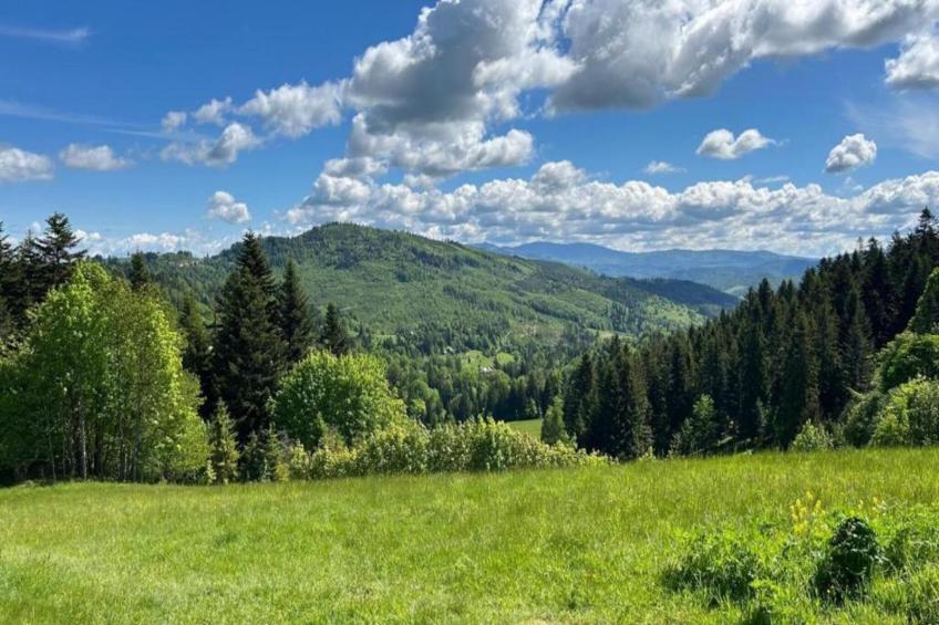 Luksusowa Willa w górach 200 m od wyciągu - foto 31