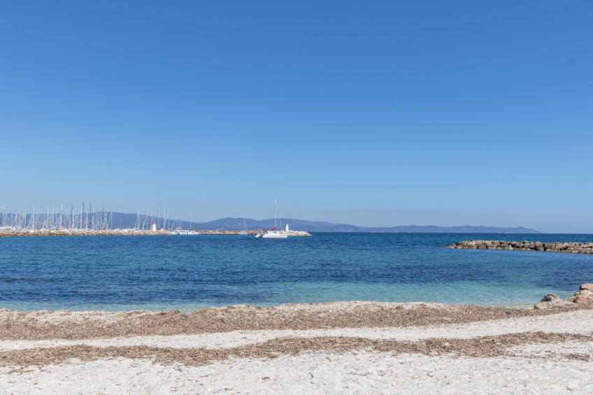 Port de La Gavine - foto 10