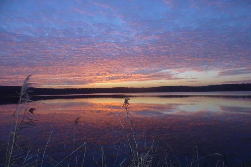 Maison de vacances - NETTANCOURT - foto 32