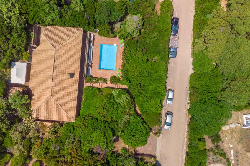 Maximilian - foto 26