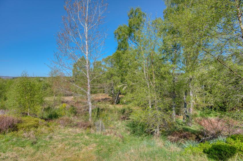 Rowan Chalet - foto 32