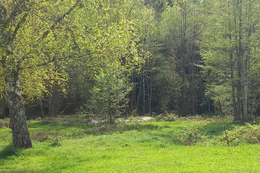 Chalet - TURQUESTEIN - foto 31