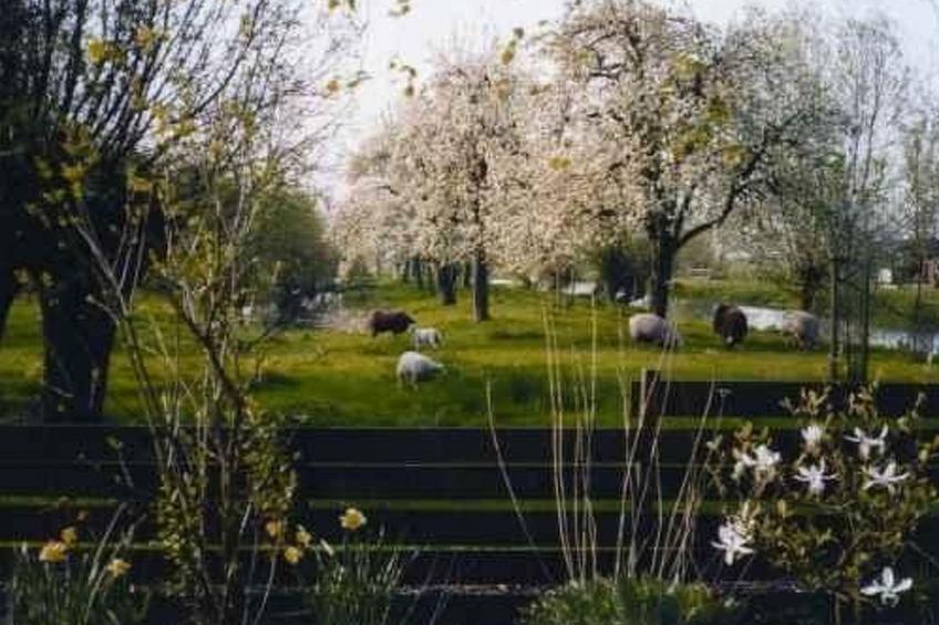 Wohnung auf dem Bauernhof - foto 31