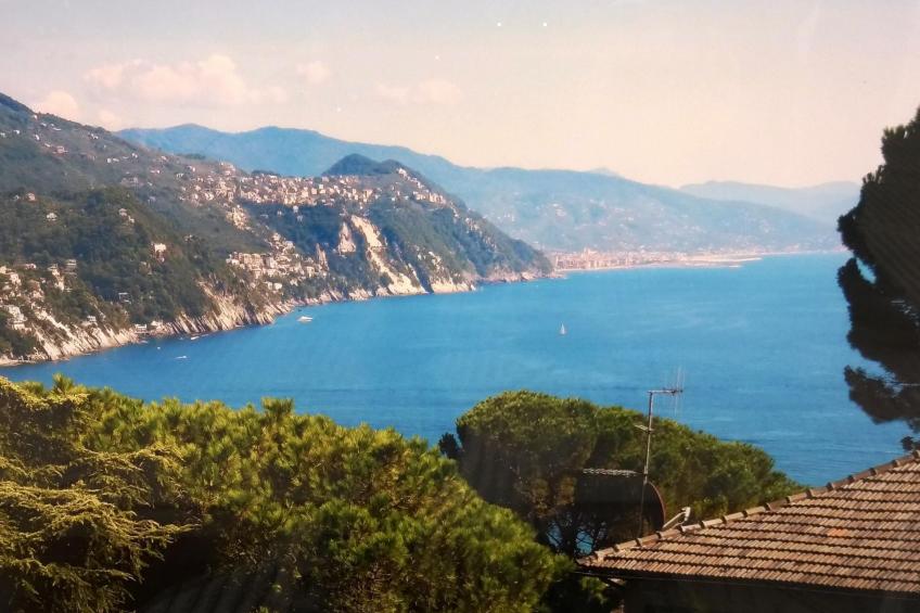 Sehr moderne Wohnung mit schönem Garten - foto 8