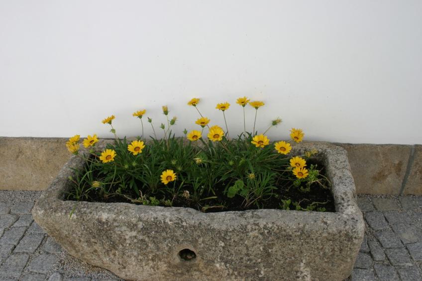 Casa do Vale - foto 22