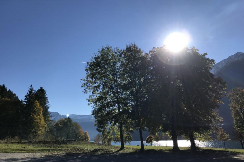 Gästehaus Beretta - foto 13