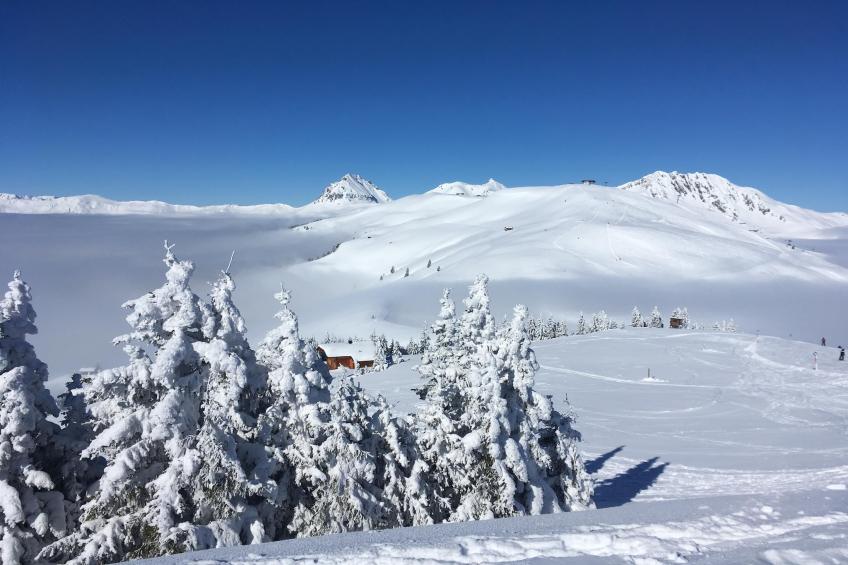 Ferienwohnung Mayrhof - foto 16