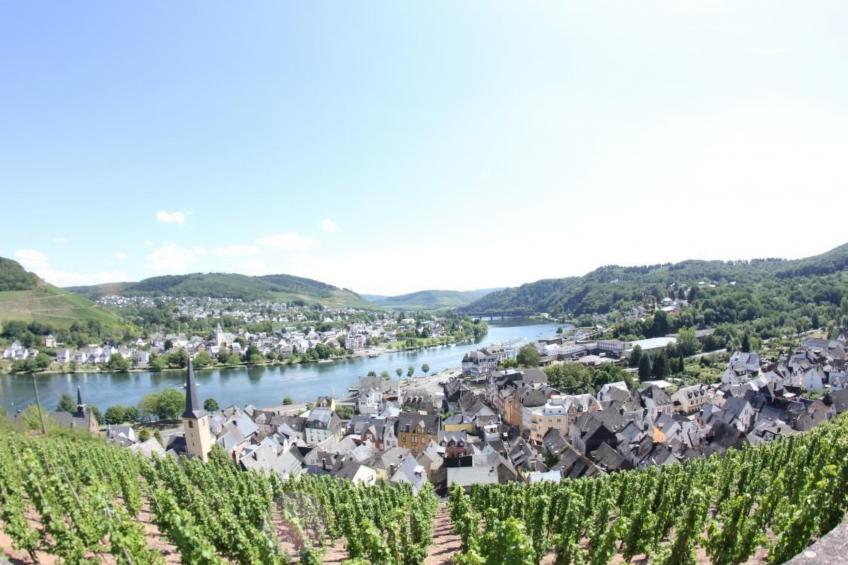 Haus Budinger - foto 14