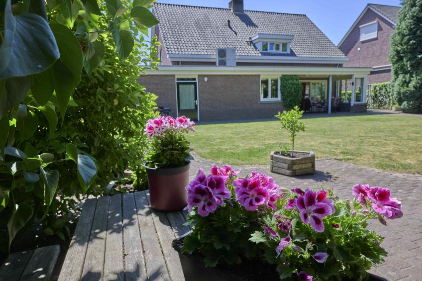 Lionshuis - foto 52