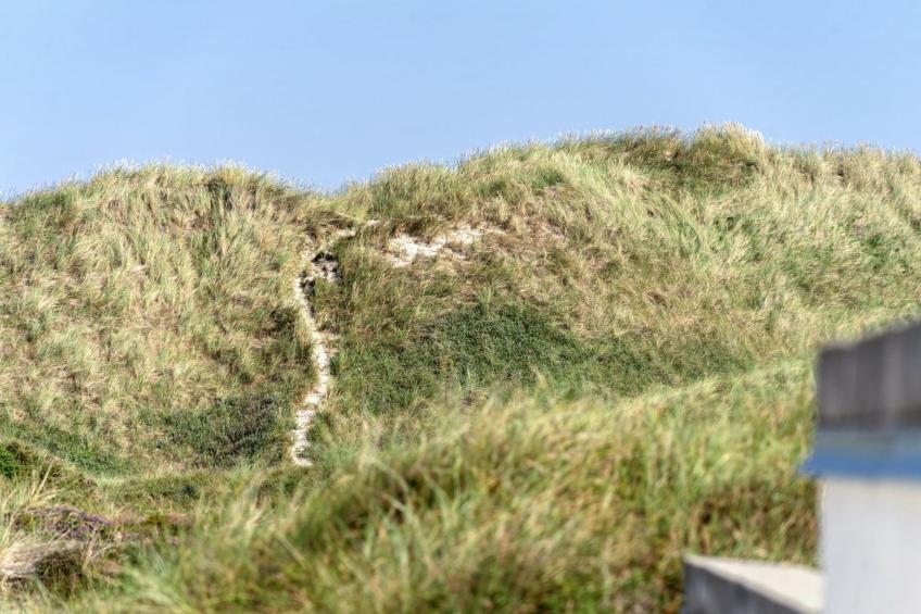 "Marjon" - 400m from the sea in NW Jutland - foto 27