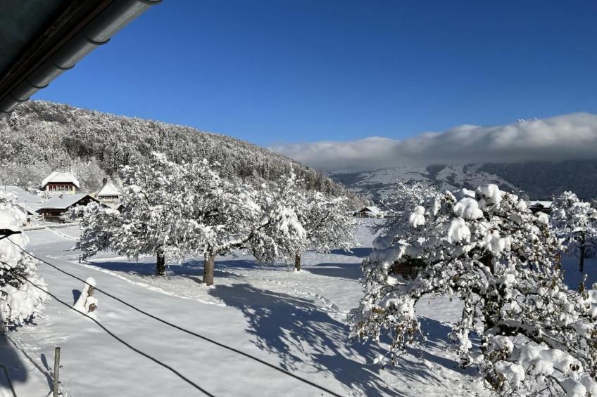 Haus Itten - foto 31