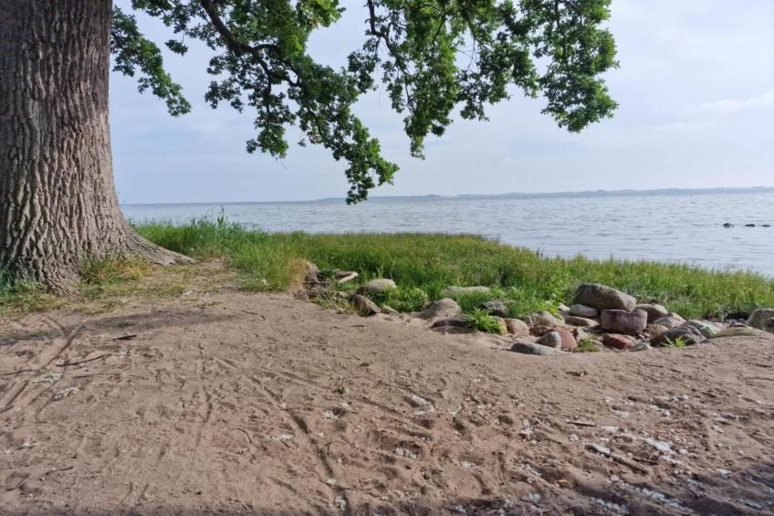 Urlaub vor den Toren der Hansestadt Wismar - foto 31