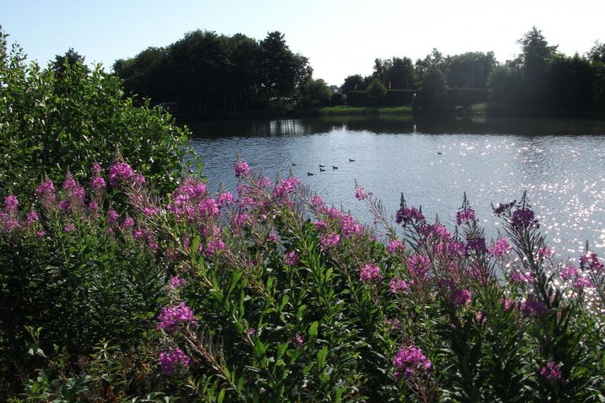 Landromantik mit traumhaftem Seeblick - foto 23