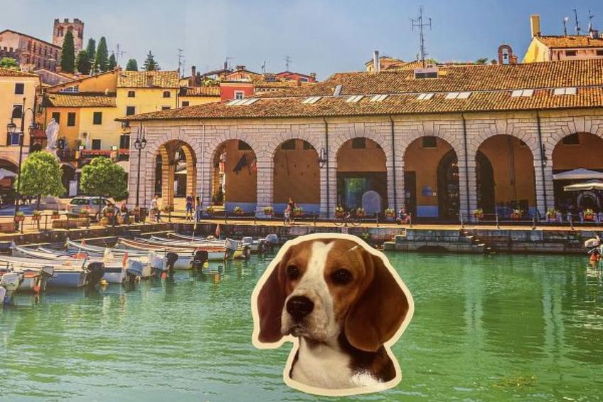 Desenzanoloft A Casa di Attila - foto 31