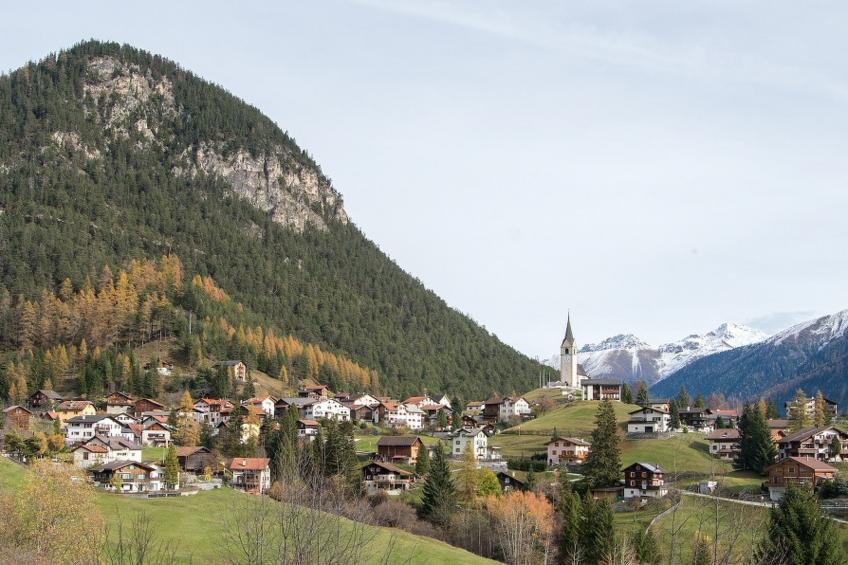 Haus Schmitten - Davos - foto 5
