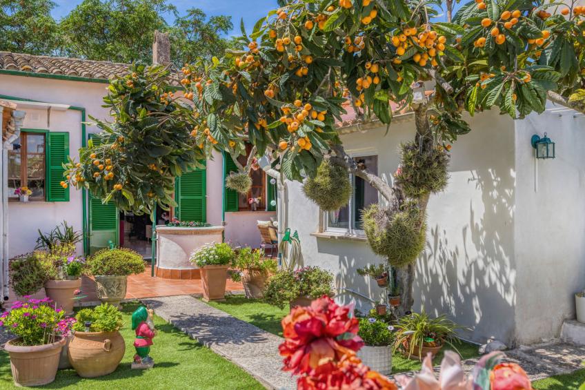 Casa Vileta